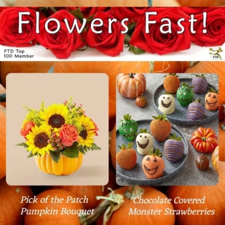 Flowers Fast! is an online flower shop and has been an FTD Top Member since 1997. We feature same-day delivery and discount prices in the USA. We understand the value of prompt flower delivery when it comes to expressing your emotions on special occasions, birthdays, anniversary or just because.