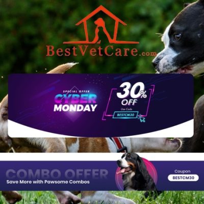 Best Vet Care offers a collection of popular brands of pet supplies ranging from parasitic treatments to grooming products and other pet essentials.