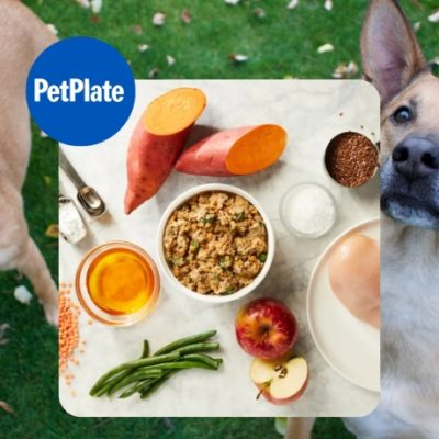 PetPlate- The new standard for dog food Fresh-cooked. Personalized. Delivered. Every step of our process is about the most important thing of all dogs living longer, healthier, happier lives.