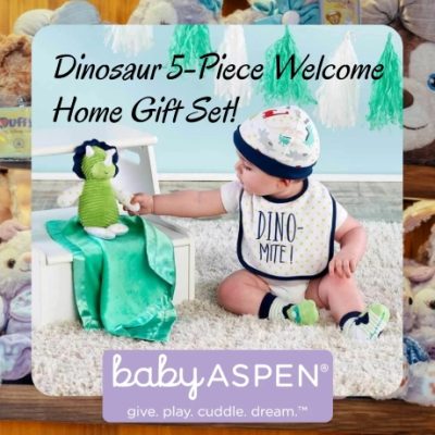 Baby Aspen strives to please both baby and parents, with quality as a top priority. Our growing collection of innovative baby products is gift-ready and priced right.