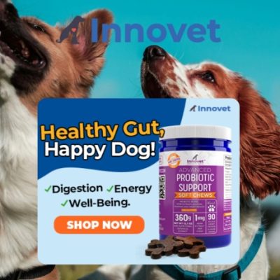 Innovet Pet Products was founded in 2005 by two undergraduate colleagues. They found themselves having to search tirelessly for innovative solutions to their pets health issues when veterinary services couldn't provide an answer. With necessity being the mother of invention, they set out on a journey to create new solutions.
