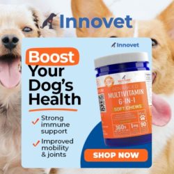 Innovet Pet Products was founded in 2005 by two undergraduate colleagues. They found themselves having to search tirelessly for innovative solutions to their pets health issues when veterinary services couldn't provide an answer. With necessity being the mother of invention, they set out on a journey to create new solutions.
