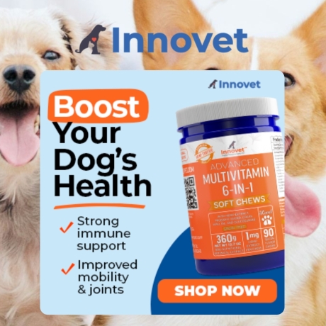 Innovet Pet Products was founded in 2005 by two undergraduate colleagues. They found themselves having to search tirelessly for innovative solutions to their pets health issues when veterinary services couldn't provide an answer. With necessity being the mother of invention, they set out on a journey to create new solutions.