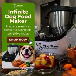 Welcome to ChefPaw where quality, commitment, and passion for pets come together. Our vision at ChefPaw is to make nutritionally balanced, delicious food accessible to all pets. We believe that our pets, just like us, deserve meals prepared with love, care, and an understanding of their nutritional needs. At ChefPaw, we're taking a leap forward to transform pet nutrition, one meal at a time.