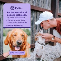 Odie Pet Insurance started with a problem we faced as dog owners, pet insurance was too expensive and too confusing. When searching for pet insurance for our two dogs, Luke and Summer, we were frustrated with the unpredictable and the costly premiums and the lack of flexibility to remove or add coverage as needed.