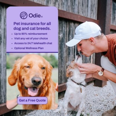 Odie Pet Insurance started with a problem we faced as dog owners, pet insurance was too expensive and too confusing. When searching for pet insurance for our two dogs, Luke and Summer, we were frustrated with the unpredictable and the costly premiums and the lack of flexibility to remove or add coverage as needed.