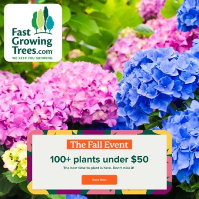 FastGrowingTrees is your America's #1 online nursery. We started selling trees in our backyard in 2005, and we still do, only now, it's nearly 100 acres. We pioneered the concept of farm-to-backyard plants, and made it possible to grow happier, healthier and easier than your garden center or big box store.