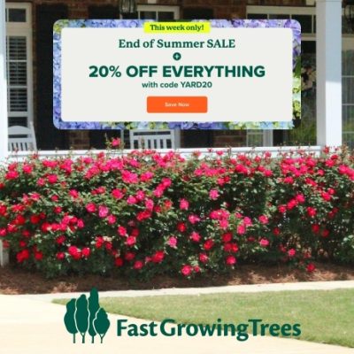 FastGrowingTrees is your America's #1 online nursery. We started selling trees in our backyard in 2005, and we still do, only now, it's nearly 100 acres. We pioneered the concept of farm-to-backyard plants, and made it possible to grow happier, healthier and easier than your garden center or big box store.