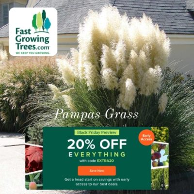 FastGrowingTrees is your America's #1 online nursery. We started selling trees in our backyard in 2005, and we still do, only now, it's nearly 100 acres. We pioneered the concept of farm-to-backyard plants, and made it possible to grow happier, healthier and easier than your garden center or big box store.
