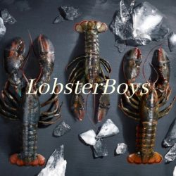 Lobsterboys seasonal Grade A lobsters are held to the most stringent quality control standards imaginable, selected, and graded by our expert team and scrutinized for an unrivaled meat-to-shell ratio and optimal blood protein levels. The result the freshest, most flavorful meat available.