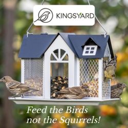 Kingsyard strives to be the most trusted brand in wild bird feeding by providing bird lovers with high quality, cost-effective bird feeding series they need. Bird feeding isn't just our specialty, it's our lifestyle. We love feeding, watching, and learning about our feathered friends, and we know you do too!