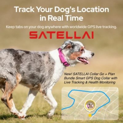 Discover SATELLAI's cutting-edge tracker and GPS dog fence with AI insights. Keep your best friend safe and healthy with real-time positioning, unlimited virtual fencing, AI-supported health and activity monitoring, and a long-lasting battery.