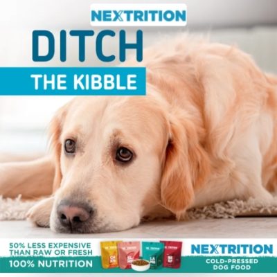 Nextrition offers a better way to feed your pup. Good real, wholesome food gently prepared to support your dog’s digestion, immune system, and their overall health. That means they're keeping all the good stuff in the nutrients, the flavors, the works.