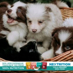 Nextrition offers a better way to feed your pup. Good real, wholesome food gently prepared to support your dog’s digestion, immune system, and their overall health. That means they're keeping all the good stuff in the nutrients, the flavors, the works.