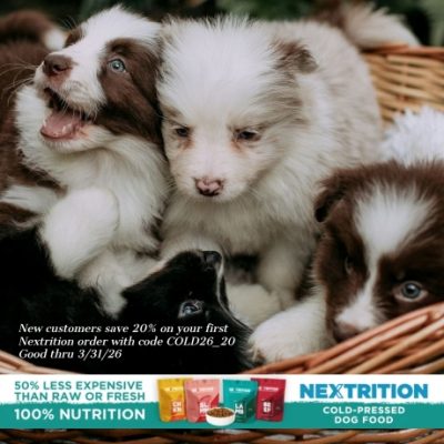 Nextrition offers a better way to feed your pup. Good real, wholesome food gently prepared to support your dog’s digestion, immune system, and their overall health. That means they're keeping all the good stuff in the nutrients, the flavors, the works.
