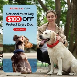 Discover SATELLAI's cutting-edge tracker and GPS dog fence with AI insights. Keep your best friend safe and healthy with real-time positioning, unlimited virtual fencing, AI-supported health and activity monitoring, and a long-lasting battery.