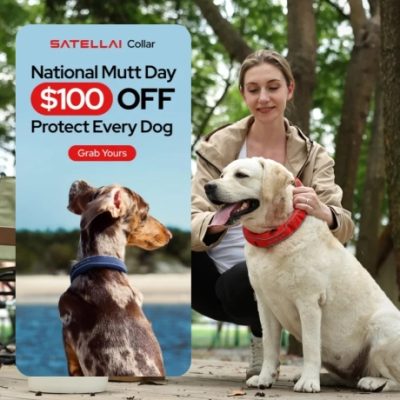 Discover SATELLAI's cutting-edge tracker and GPS dog fence with AI insights. Keep your best friend safe and healthy with real-time positioning, unlimited virtual fencing, AI-supported health and activity monitoring, and a long-lasting battery.