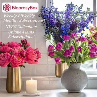 Bloomsybox designs bouquets for birthdays, anniversaries, and holidays making it easier to celebrate the biggest milestones of your life. Our weekly and monthly flower subscriptions are designed with new varieties of flowers in each box shipped to your door.
